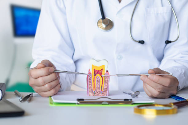 Best After-Hours Emergency Dentist in Morton, IL